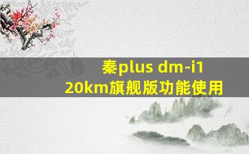 秦plus dm-i120km旗舰版功能使用